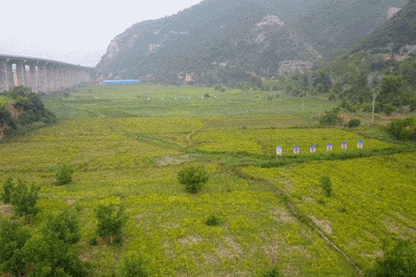 cq9���ӹ������,cq9���ӹ�����ڵ���ҩ��