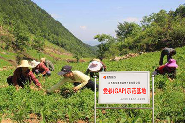 CQ9电子·(中国)唯一官方网站