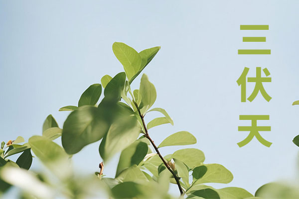 CQ9电子·(中国)唯一官方网站
