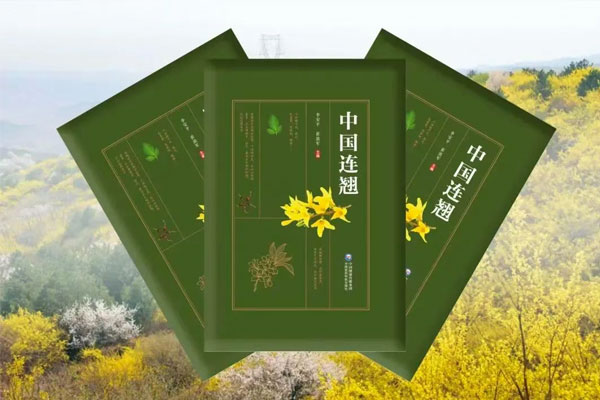 CQ9电子·(中国)唯一官方网站