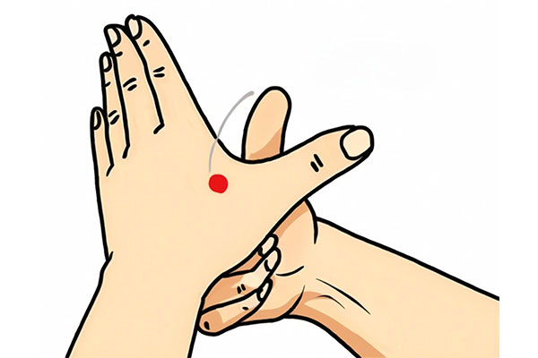 CQ9���ӡ�(�й�)Ψһ�ٷ���վ