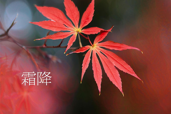 CQ9���ӡ�(�й�)Ψһ�ٷ���վ