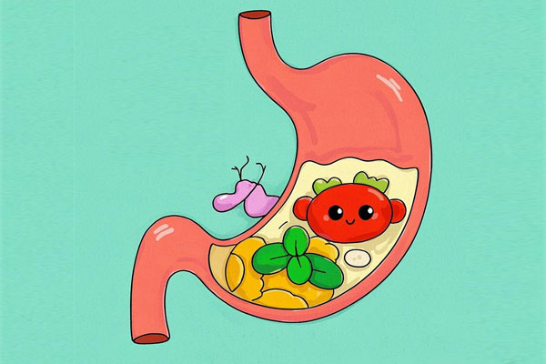 �＾����,������,��ʳ����,����ʳ��,ů��ʳ��